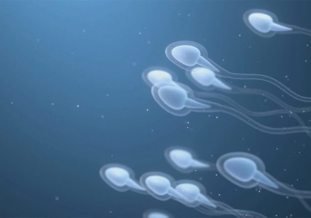 Що показує спермограма та як здавати аналіз