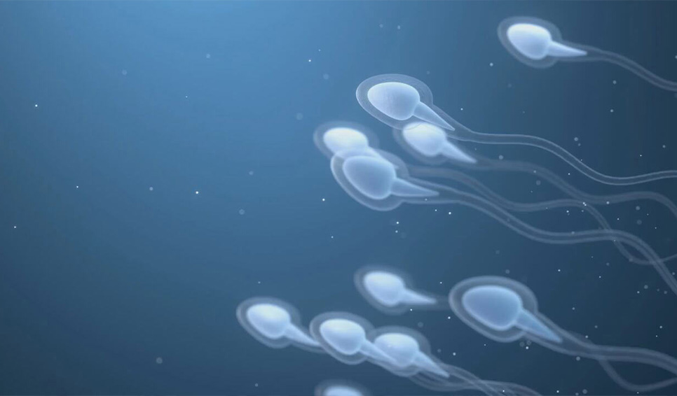 Що показує спермограма та як здавати аналіз